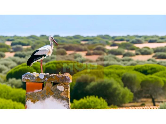 Image No.17-Appartement de 2 chambres à vendre à Olhão