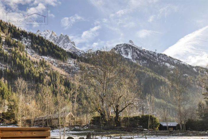 Image No.18-4 Bed House for sale