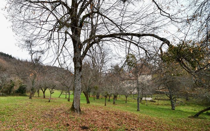 Image No.16-7 Bed Property for sale