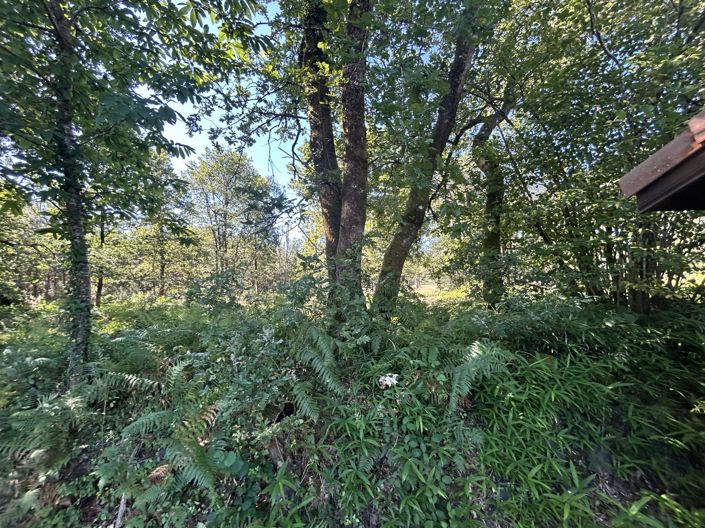 Image No.8-5 Bed House for sale