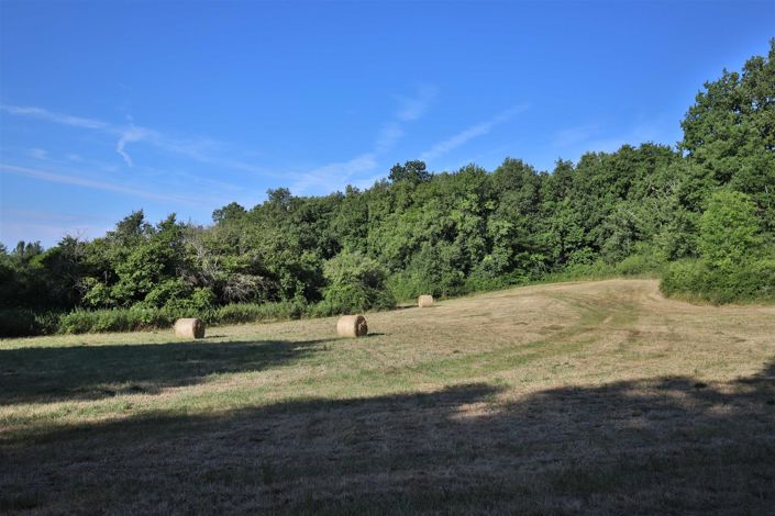 Image No.3-Maison à vendre à Puisseguin