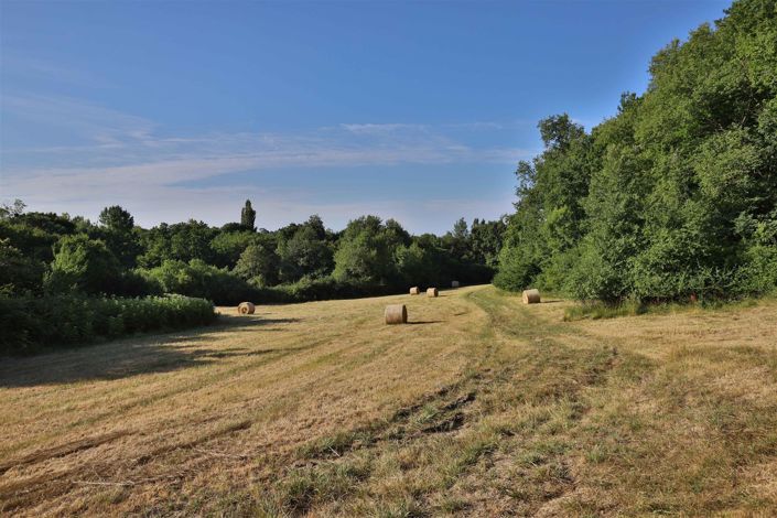 Image No.4-Maison à vendre à Puisseguin