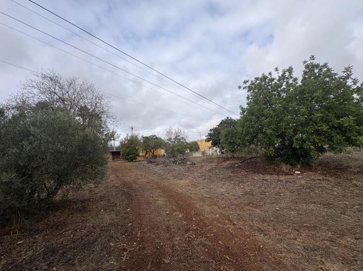 Image No.4-House for sale