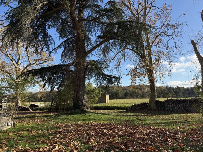 Image No.31-Maison de 7 chambres à vendre à Castelnau-d'Auzan