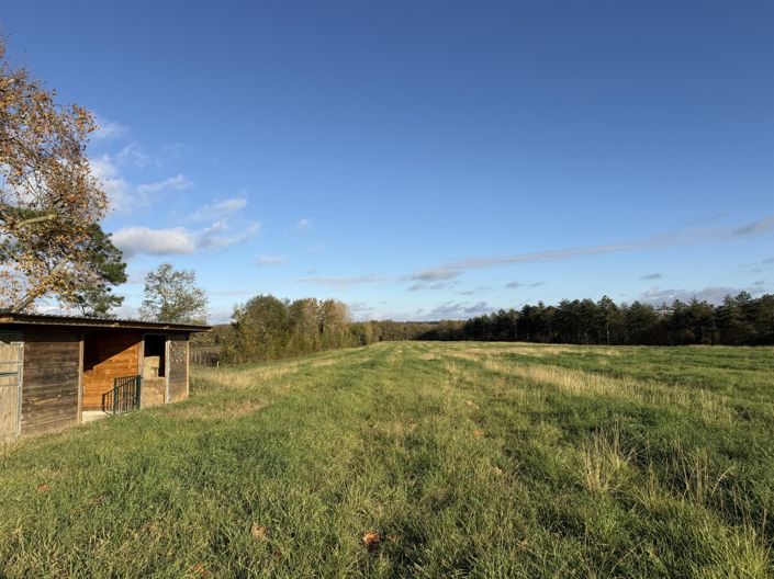 Image No.32-Maison de 7 chambres à vendre à Castelnau-d'Auzan