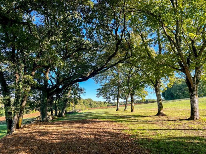 Image No.20-7 Bed House for sale