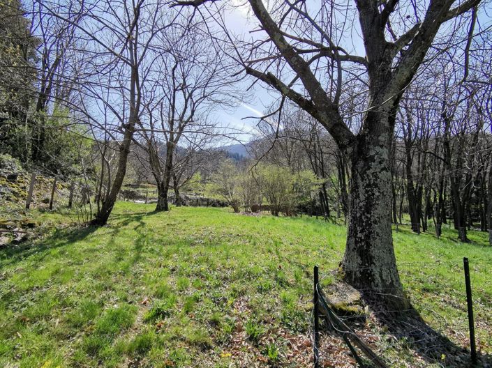 Image No.15-4 Bed House for sale