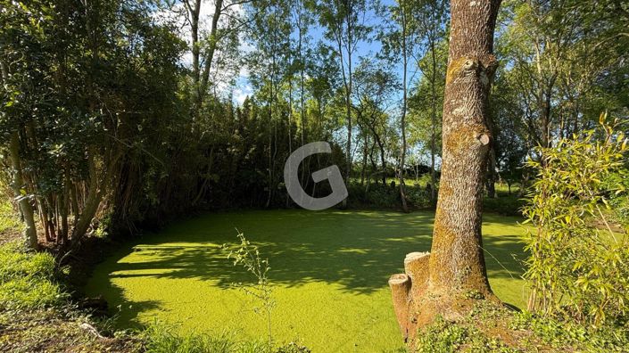 Image No.4-3 Bed House for sale