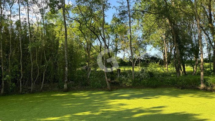 Image No.5-3 Bed House for sale