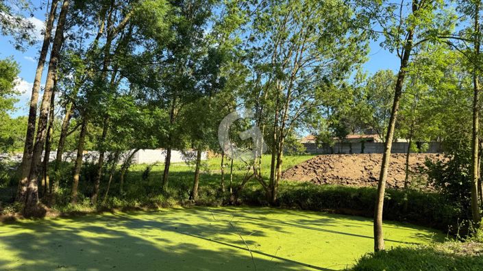 Image No.6-3 Bed House for sale