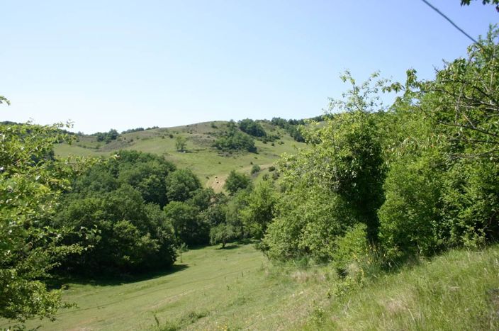 Image No.3-House for sale