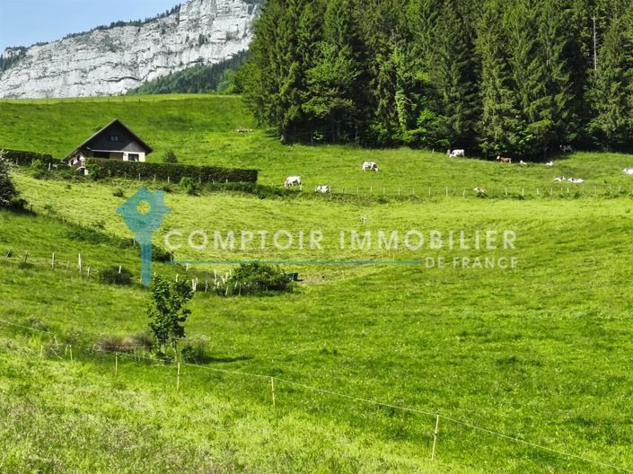 Image No.16-1 Bed House for sale