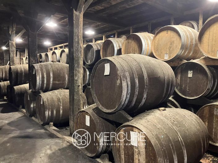 Image No.3-Maison de 6 chambres à vendre à Nogaro