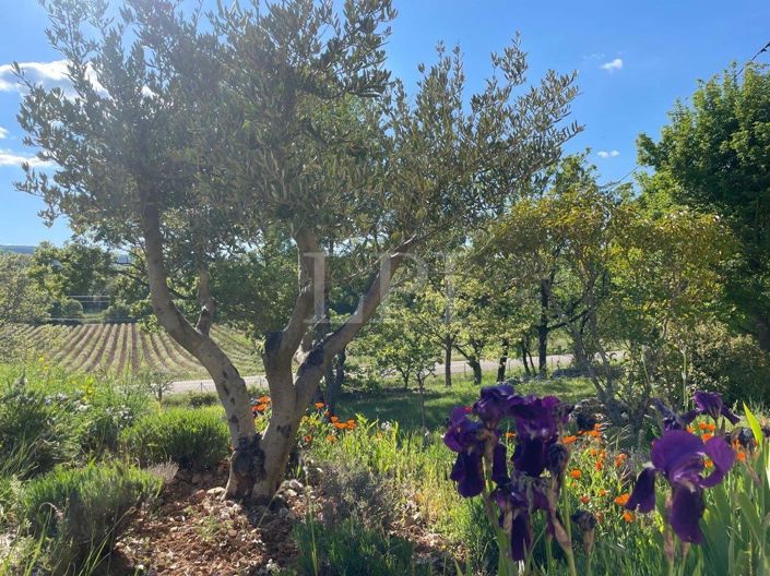 Image No.5-Maison de 3 chambres à vendre à Simiane-la-Rotonde