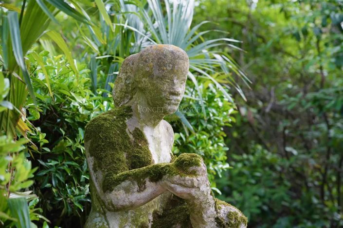 Image No.4-6 Bed House for sale