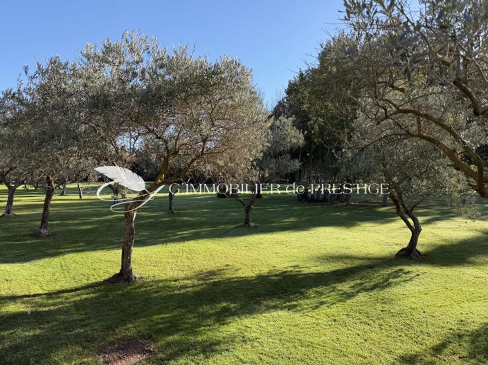 Image No.16-4 Bed House for sale