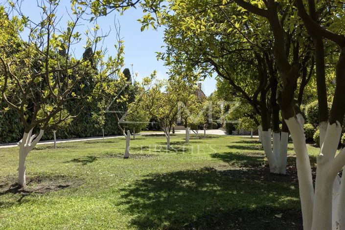 Image No.10-10 Bed House for sale