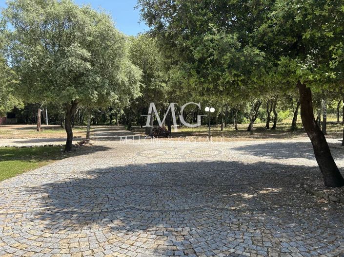 Image No.26-4 Bed House for sale