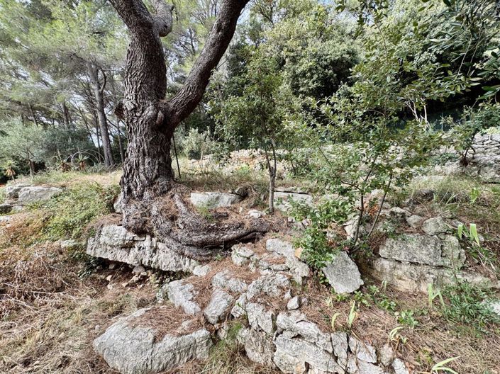 Image No.12-5 Bed House for sale