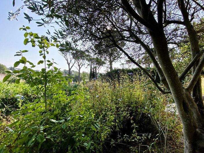 Image No.7-3 Bed House for sale