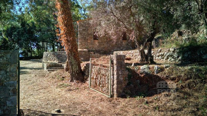 Image No.4-6 Bed House for sale