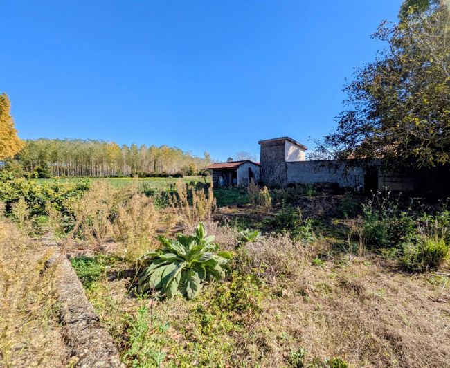 Image No.15-4 Bed House for sale