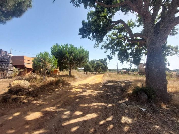 Image No.18-2 Bed House for sale