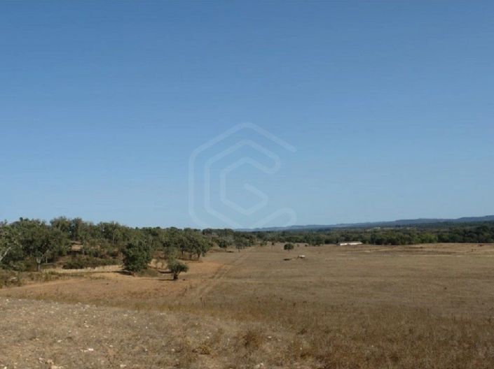 Image No.20-2 Bed House for sale