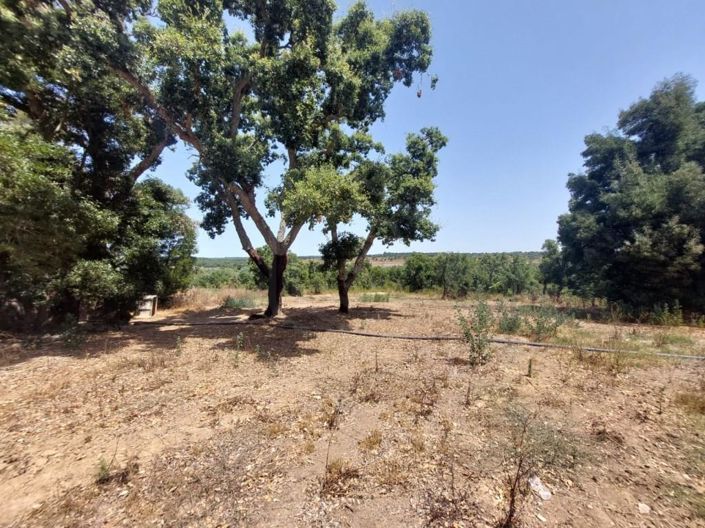 Image No.22-2 Bed House for sale