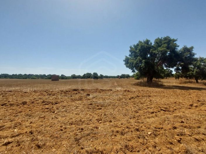 Image No.25-2 Bed House for sale