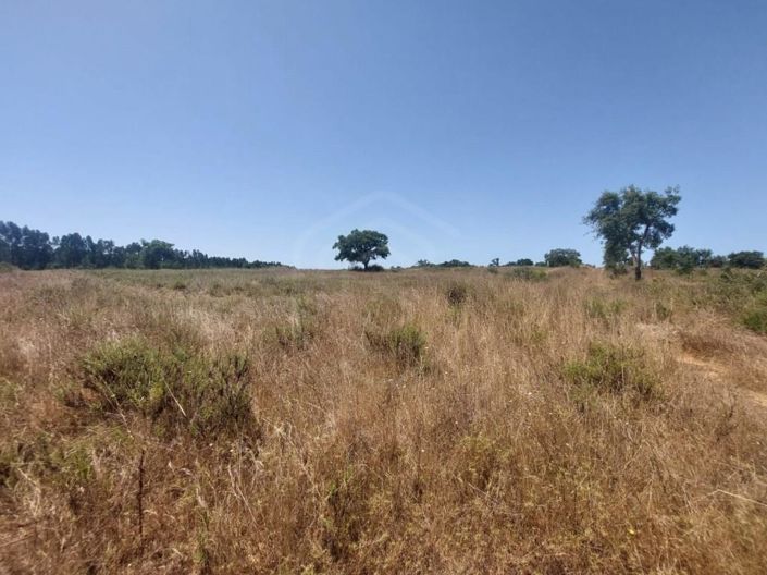 Image No.27-2 Bed House for sale