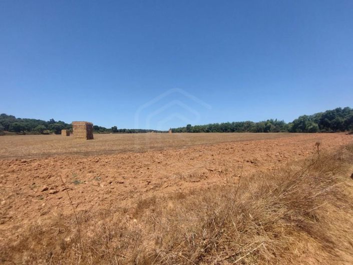 Image No.28-2 Bed House for sale