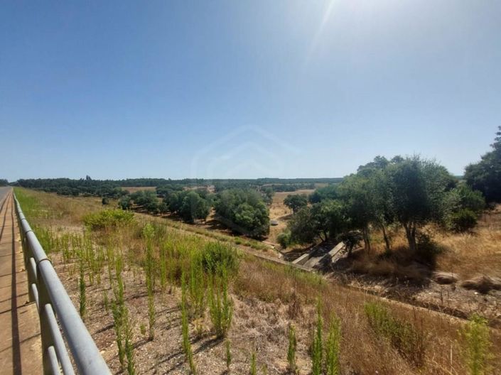 Image No.32-2 Bed House for sale