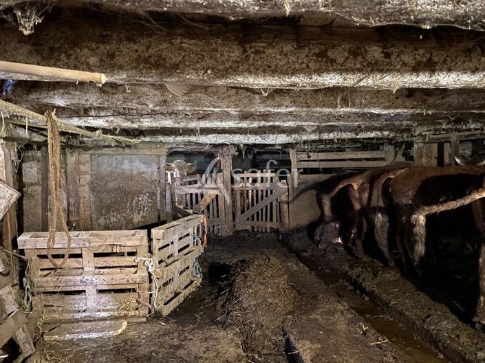 Image No.14-4 Bed House for sale