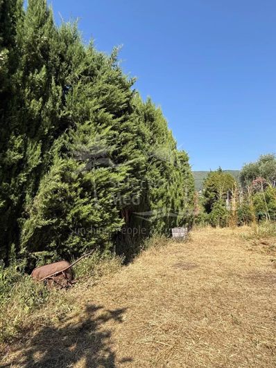 Image No.39-4 Bed House for sale