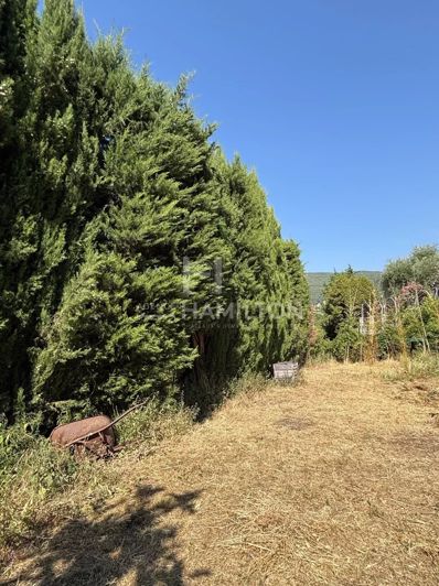Image No.39-Maison de 4 chambres à vendre à Châteauneuf-Grasse