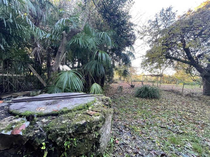 Image No.5-3 Bed House for sale