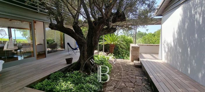 Image No.36-Maison de 7 chambres à vendre à Corse