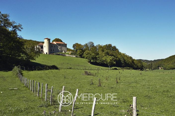 Image No.12-Maison de 8 chambres à vendre à Saint-Germain-du-Bel-Air