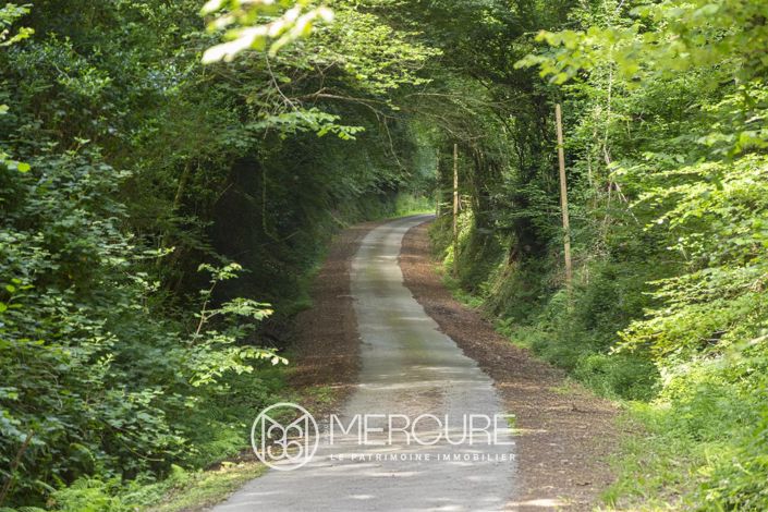 Image No.5-House for sale