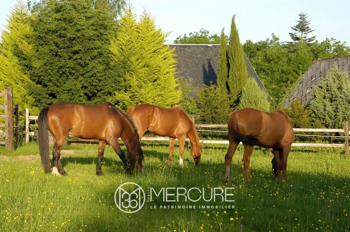 Image No.11-2 Bed House for sale