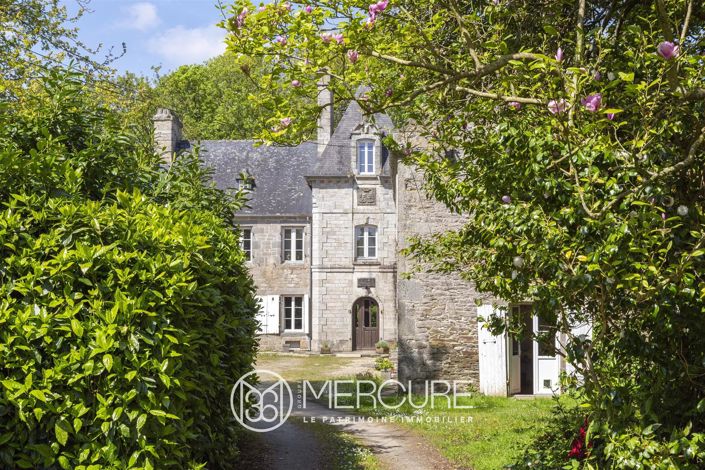 Image No.4-11 Bed House for sale