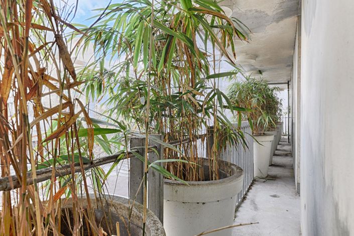 Image No.8-Appartement de 3 chambres à vendre à Paris