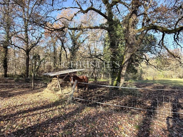 Image No.32-8 Bed House for sale