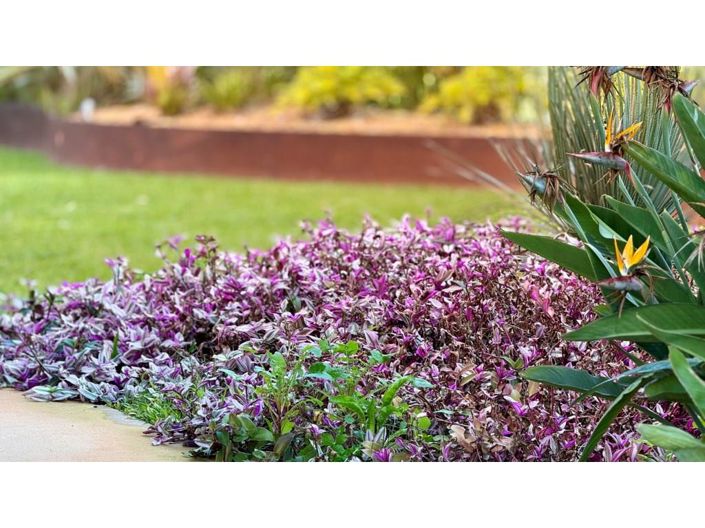 Image No.44-Appartement de 1 chambre à vendre à Loule