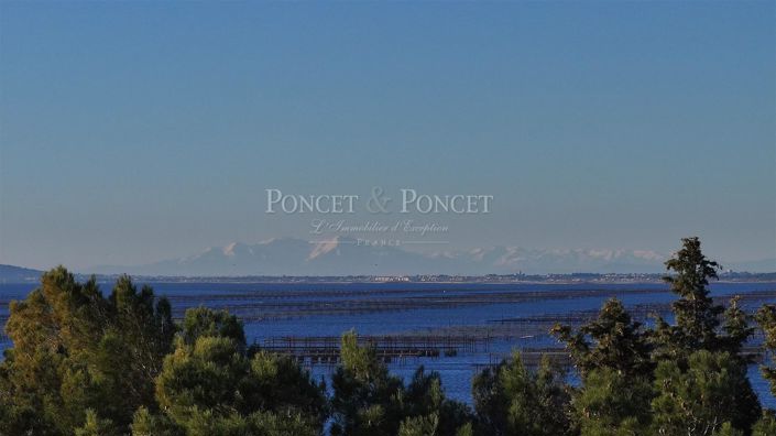 Image No.2-4 Bed House for sale