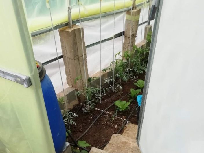 Image No.10-Maison de 1 chambre à vendre à Loule