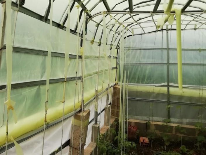 Image No.8-Maison de 1 chambre à vendre à Loule