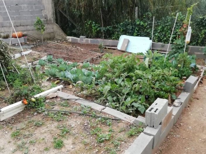 Image No.9-Maison de 1 chambre à vendre à Loule