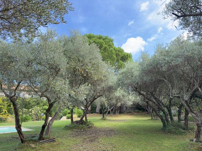 Image No.5-4 Bed House for sale